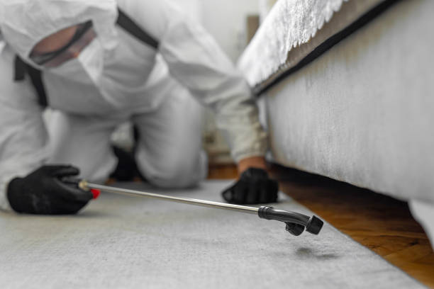 Professional Cockroach Control technician working in Takoma Park, MD