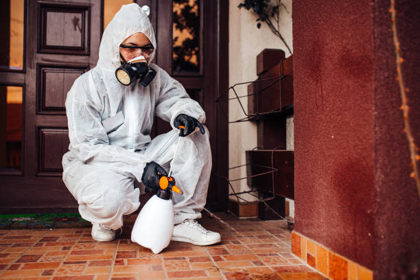 Reliable Cockroach Control contractor in Takoma Park, MD by Nex Pest Control