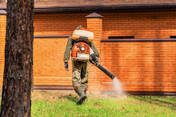 Top rated local Cockroach Control specialists in Takoma Park, MD